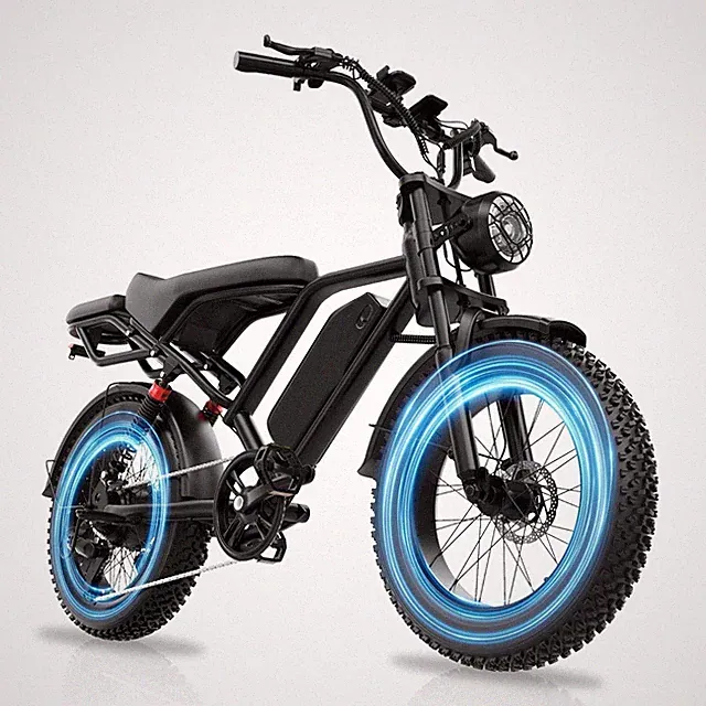 20" Fat Tire electric bike 750W 31MPH Off-Road mountain Ebike for Adult